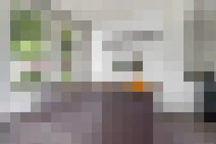 Braamweg 46 Arnhem thumbnail 18