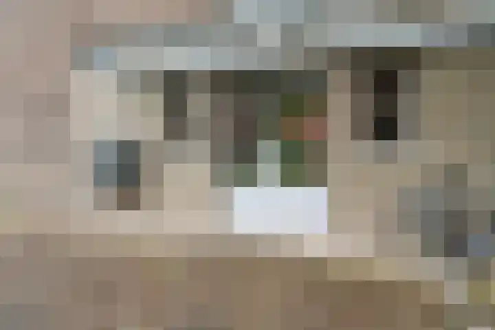 Braamweg 46 Arnhem thumbnail 44