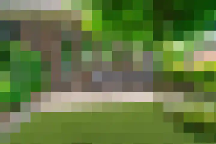 Braamweg 46 Arnhem thumbnail 53