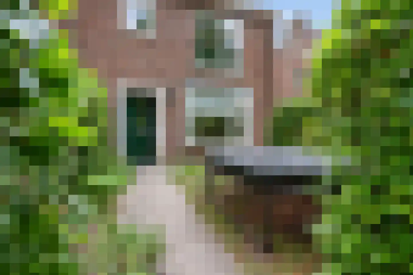 Braamweg 53 Soest thumbnail 27