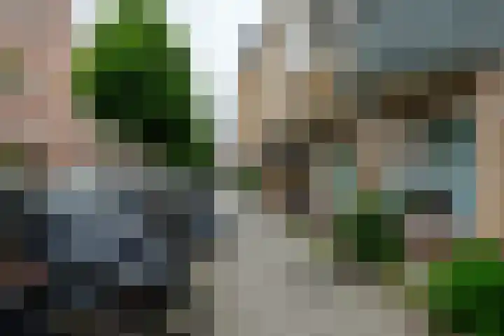 Braamweg 58 Arnhem thumbnail 32
