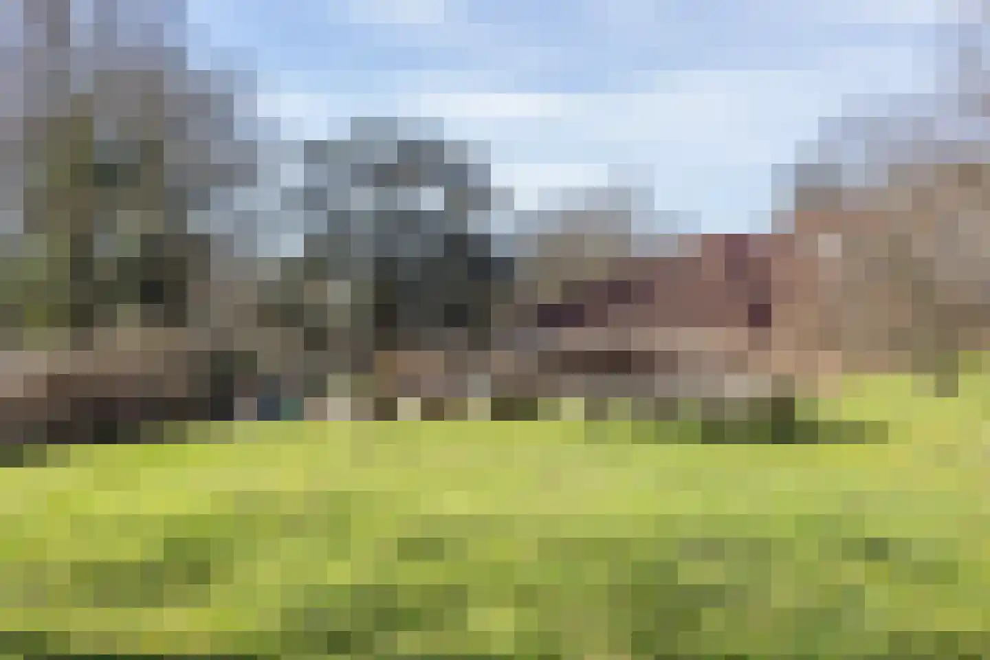Braamweg 58 Arnhem thumbnail 57