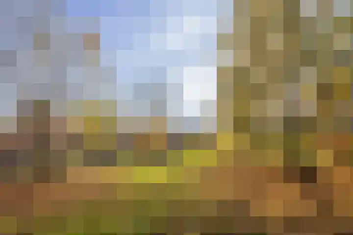 Braamweg 86 Arnhem thumbnail 4