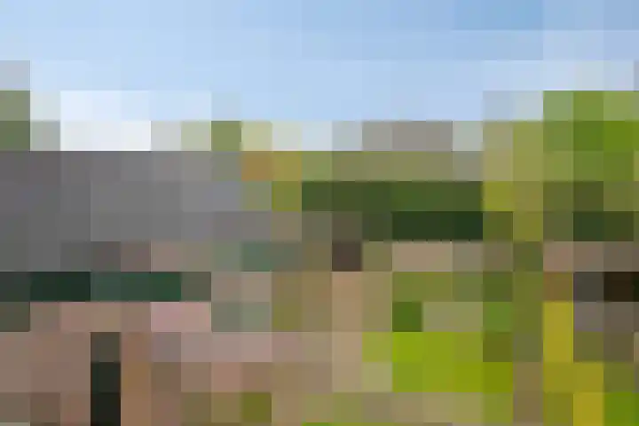 Braamweg 89 Soest thumbnail 30