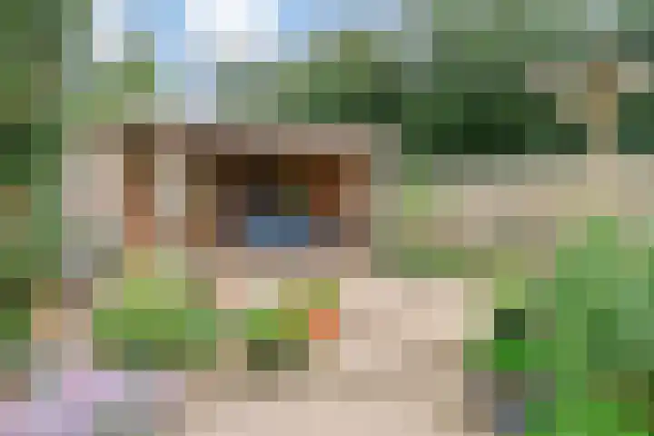 Braamweg 89 Soest thumbnail 32