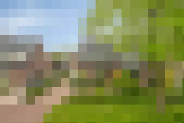 Braamweg 89 Soest thumbnail 34
