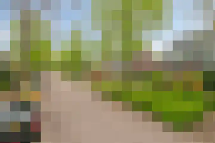 Braamweg 89 Soest thumbnail 35
