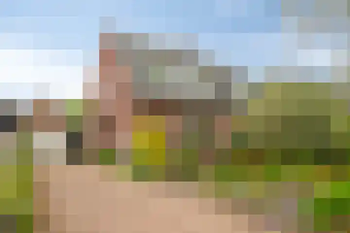 Braamweg 89 Soest thumbnail 40