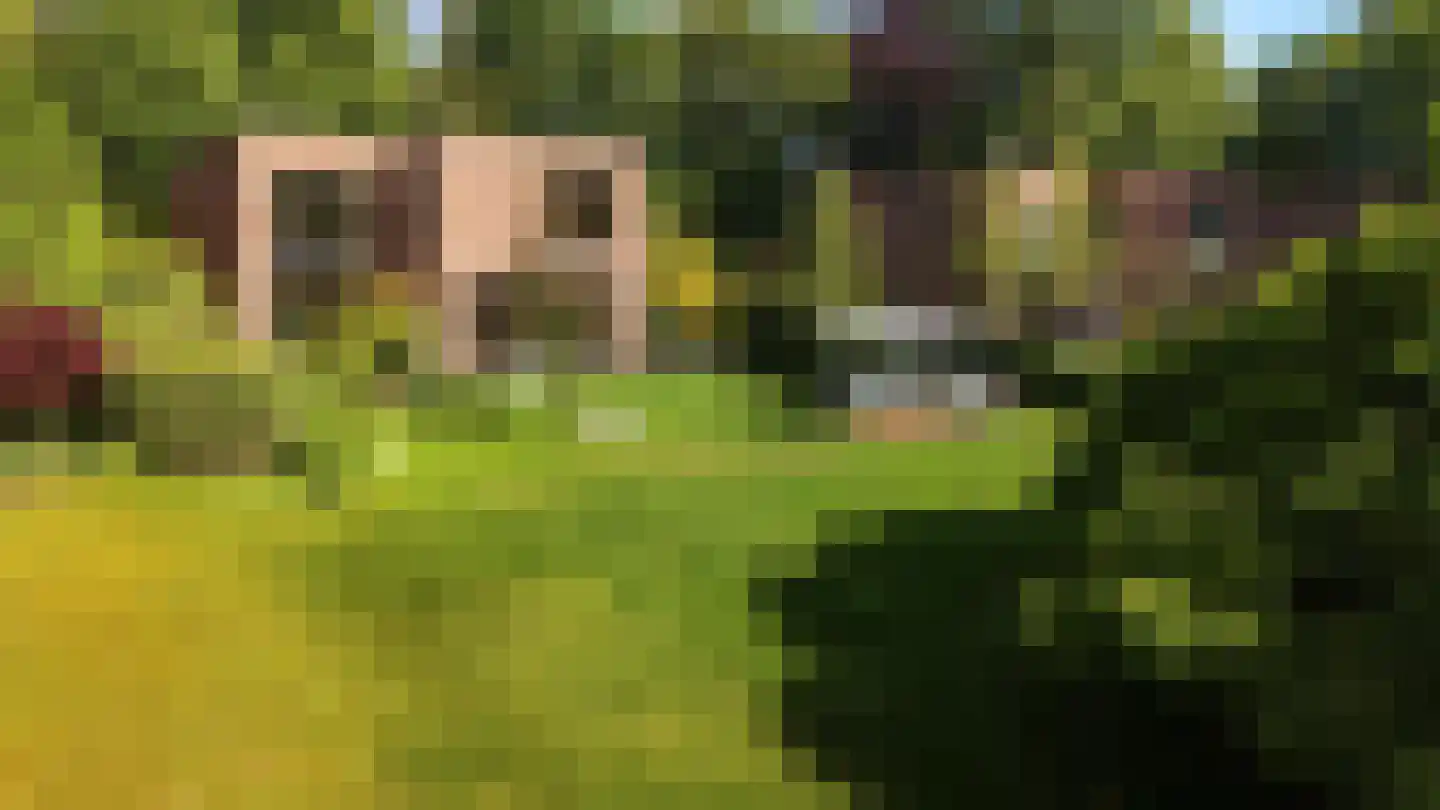Braamweg 9 Arnhem thumbnail 18
