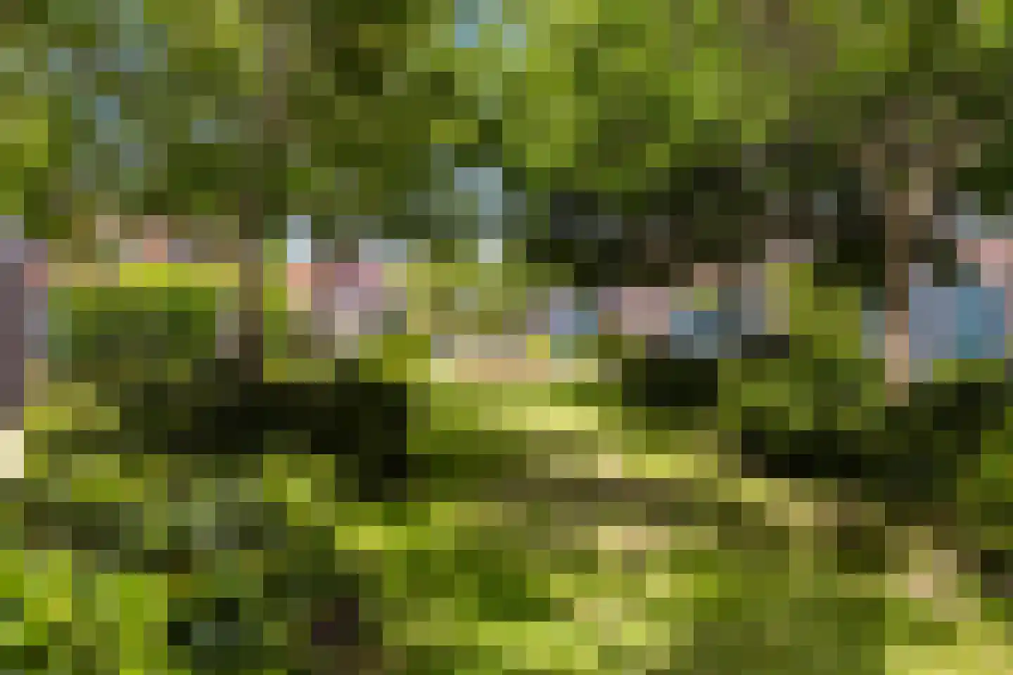 Braassemermeer 4 Barendrecht thumbnail 25