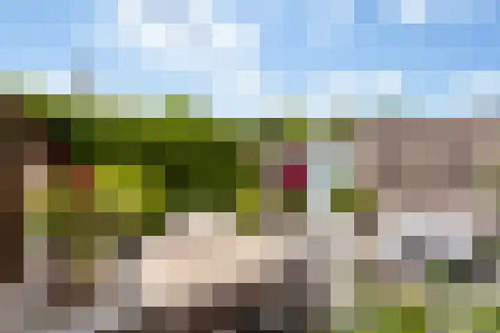 Braassemermeer 44 Barendrecht thumbnail 44