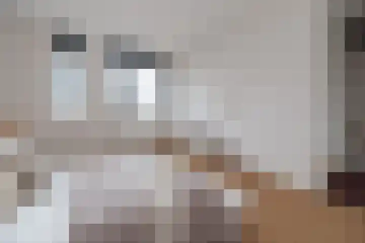 Brabanterlaan 18 Barneveld thumbnail 17