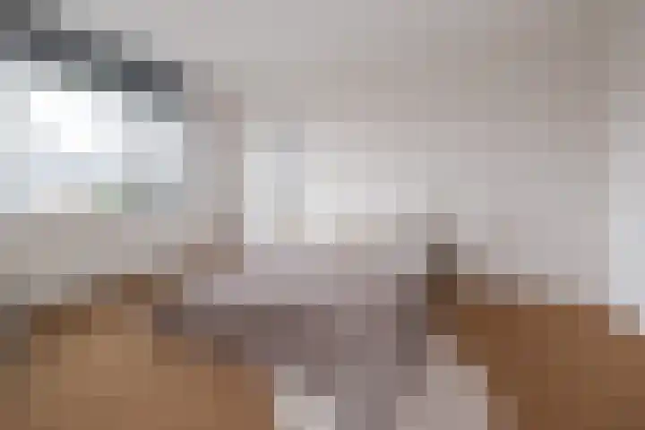 Brabanterlaan 18 Barneveld thumbnail 21