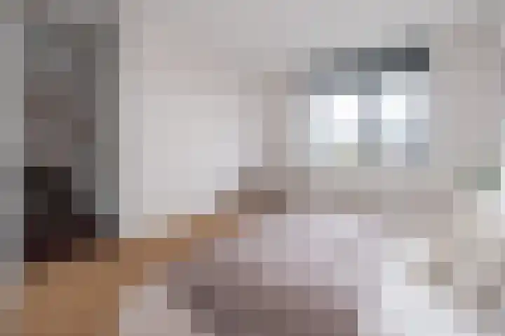 Brabanterlaan 18 Barneveld thumbnail 22