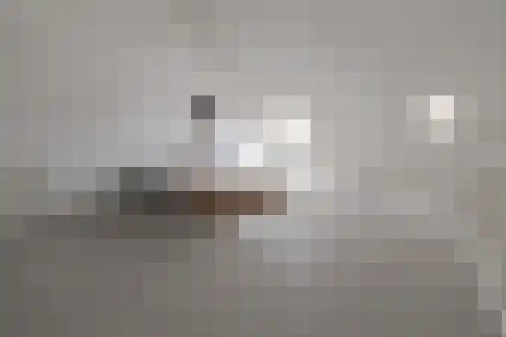 Brabanterlaan 18 Barneveld thumbnail 28