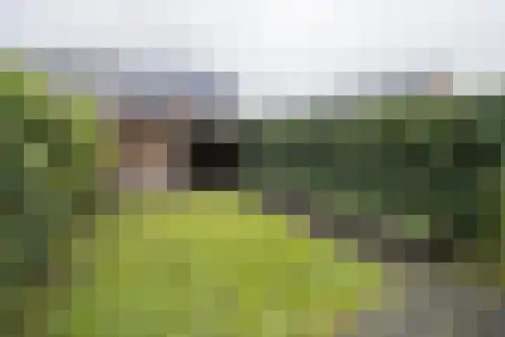 Brabanterlaan 18 Barneveld thumbnail 31