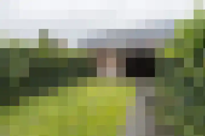 Brabanterlaan 18 Barneveld thumbnail 33