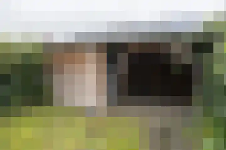 Brabanterlaan 18 Barneveld thumbnail 35