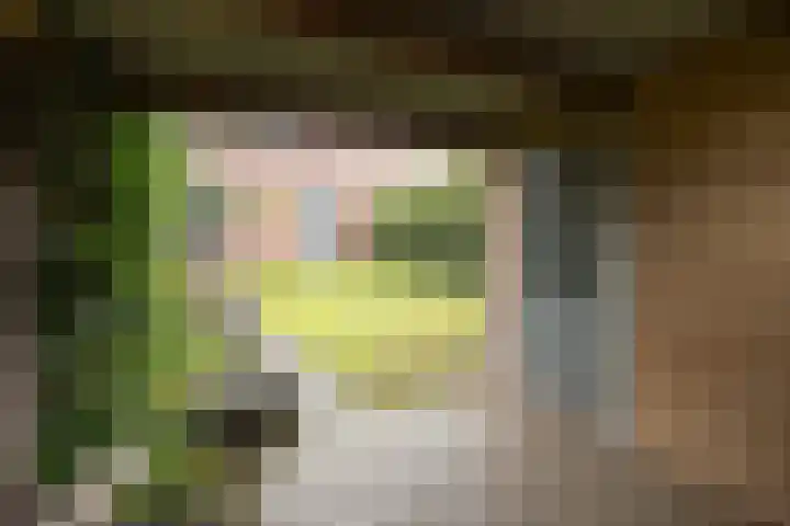 Brabanterlaan 18 Barneveld thumbnail 36