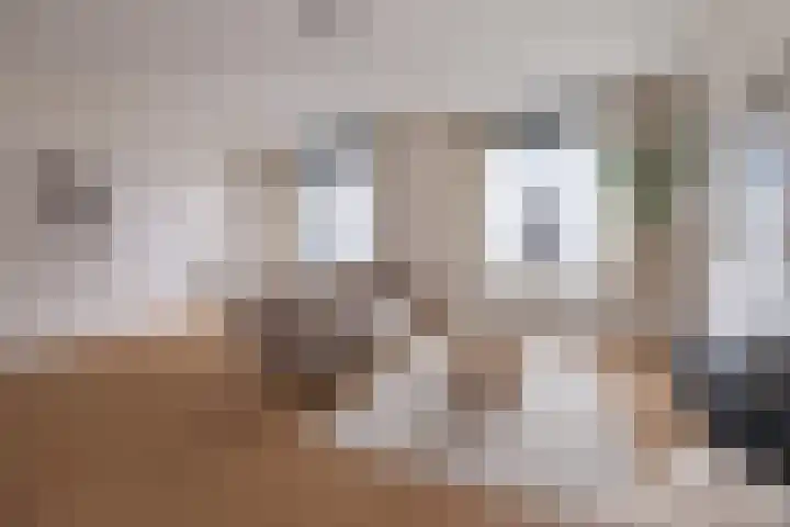 Brabanterlaan 18 Barneveld thumbnail 4