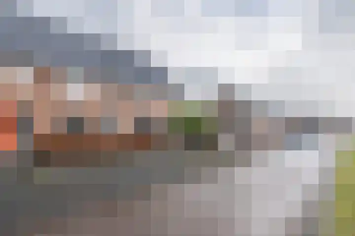 Brabanterlaan 18 Barneveld thumbnail 41
