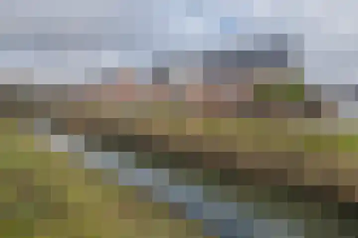Brabanterlaan 18 Barneveld thumbnail 44