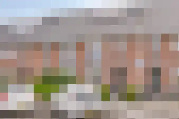 Brabanterlaan 6 in Barneveld