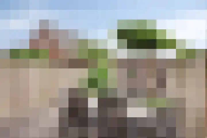 Brabanterlaan 6 Barneveld thumbnail 20