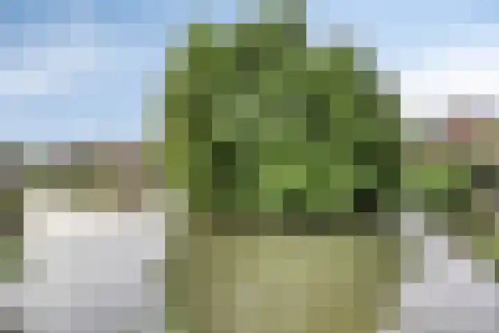 Brabanterlaan 6 Barneveld thumbnail 27