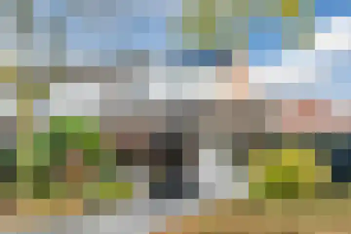 Brabanthoeven 10 Rosmalen thumbnail 4