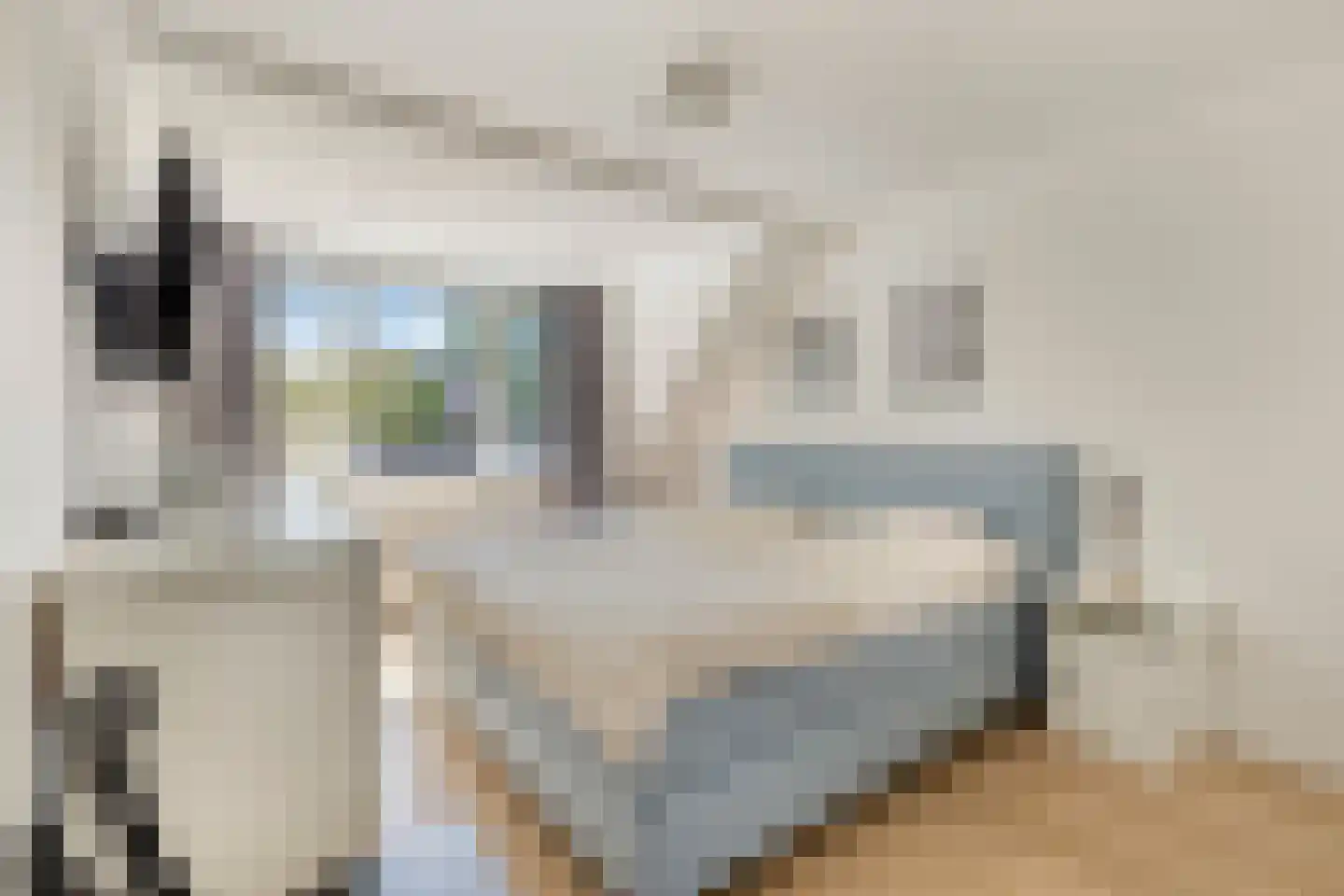 Brabanthoeven 155 Rosmalen thumbnail 18