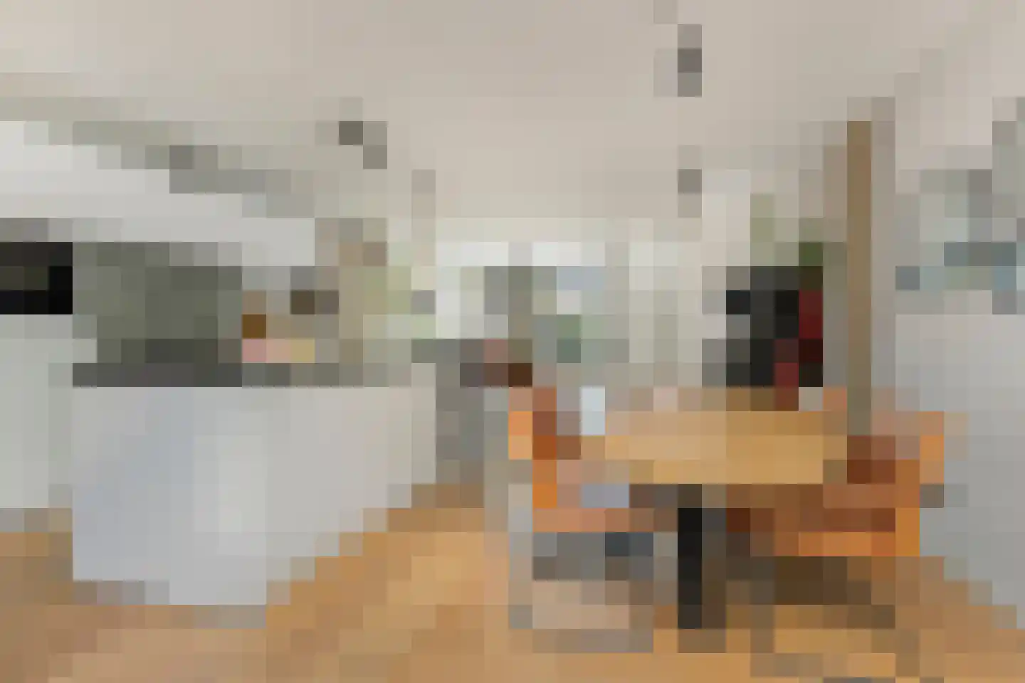 Brabanthoeven 155 Rosmalen thumbnail 5
