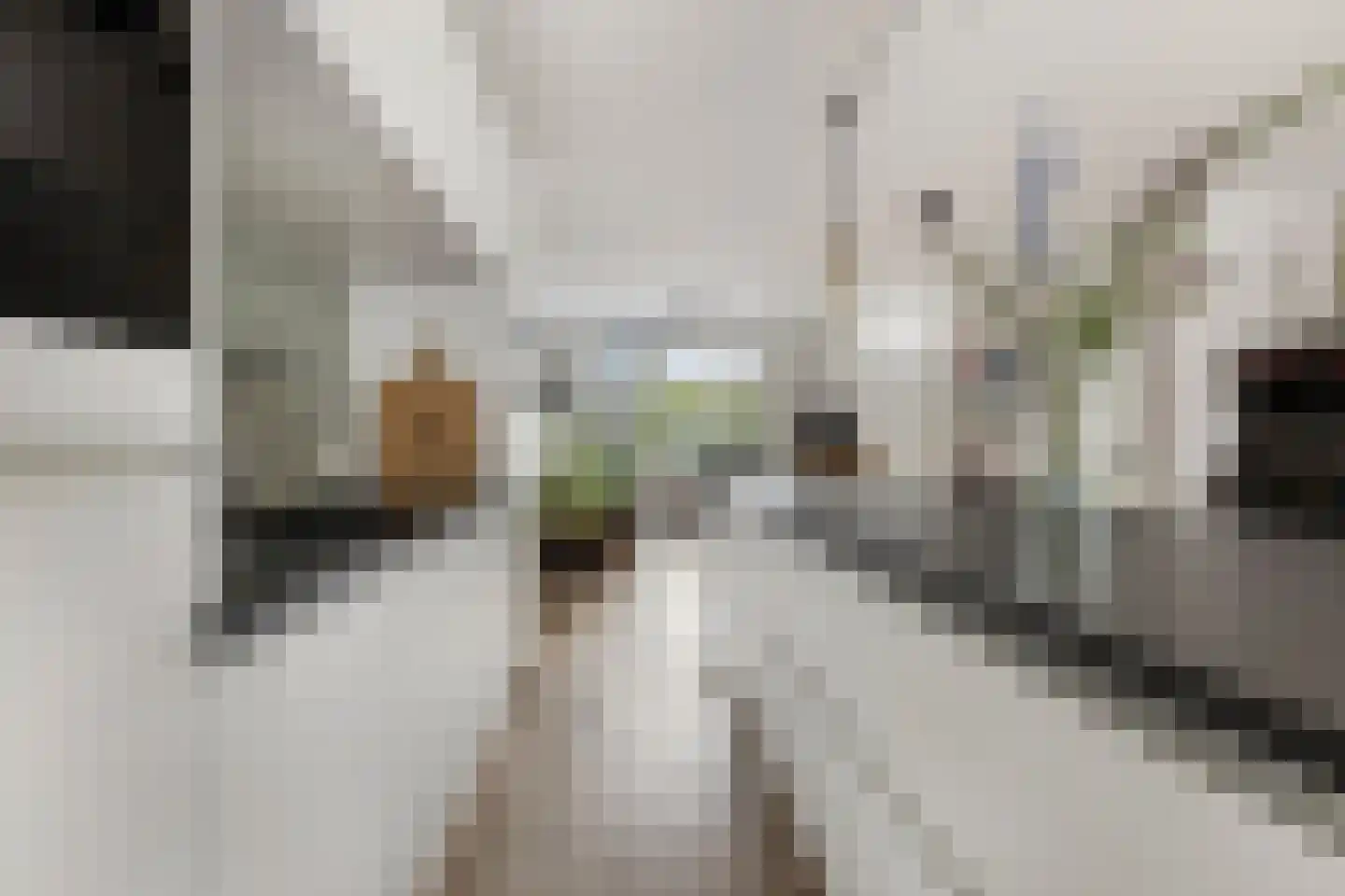 Brabanthoeven 155 Rosmalen thumbnail 7