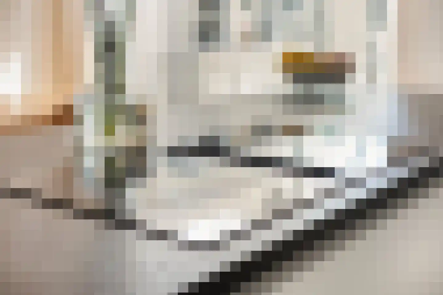 Brabanthoeven 155 Rosmalen thumbnail 8
