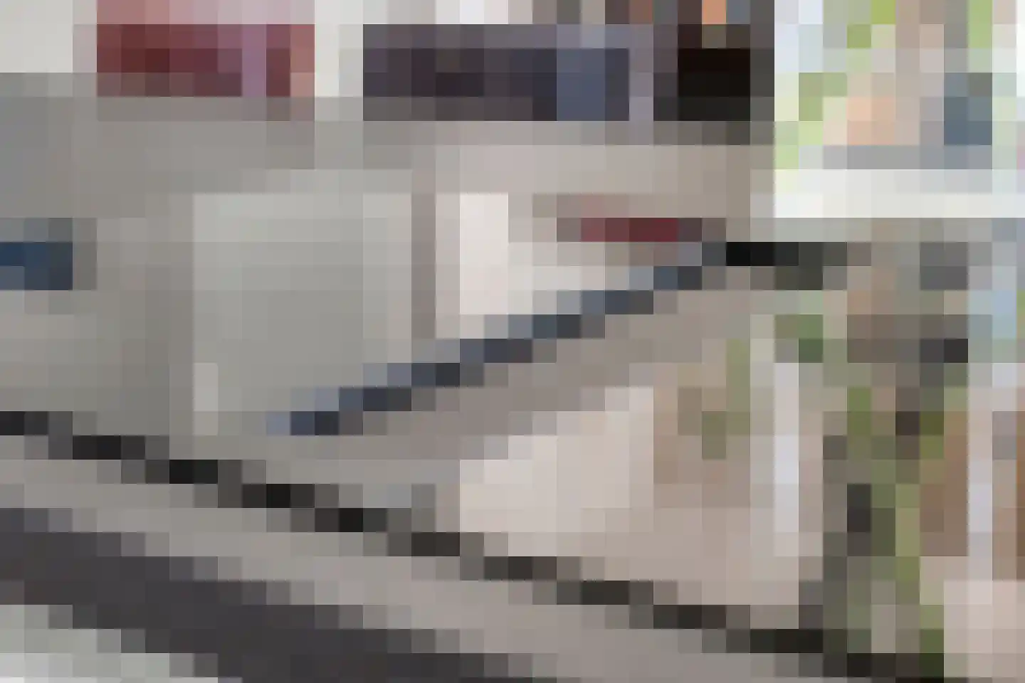 Brabanthoeven 155 Rosmalen thumbnail 9
