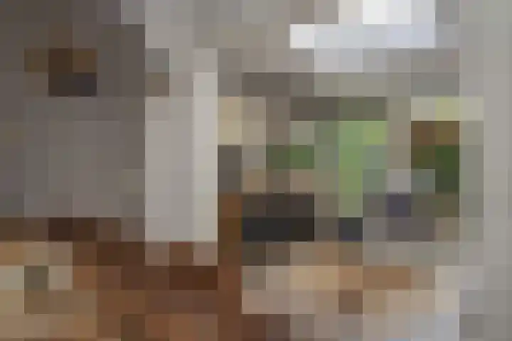 Brabanthoeven 173 Rosmalen thumbnail 11