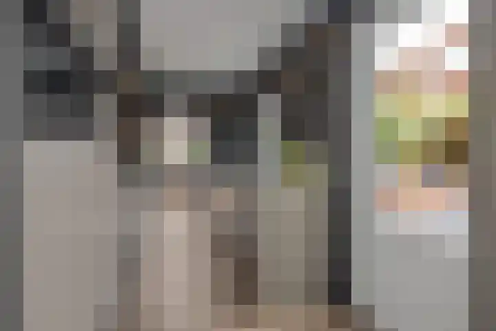 Brabanthoeven 173 Rosmalen thumbnail 12