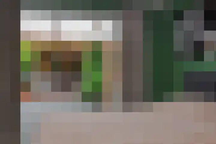 Brabanthoeven 173 Rosmalen thumbnail 24