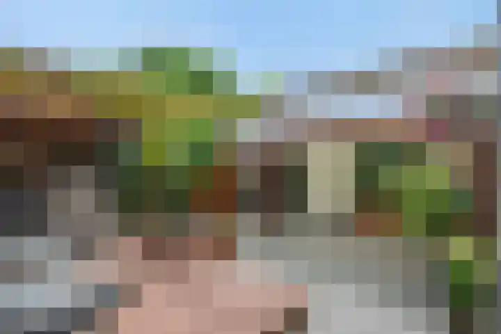 Brabanthoeven 173 Rosmalen thumbnail 26
