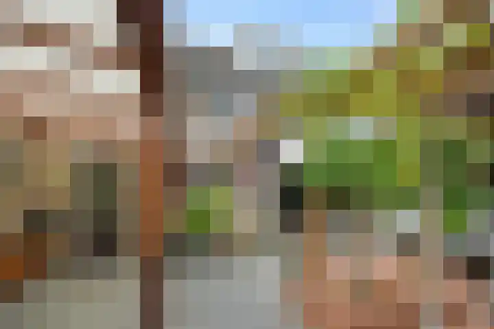 Brabanthoeven 173 Rosmalen thumbnail 31