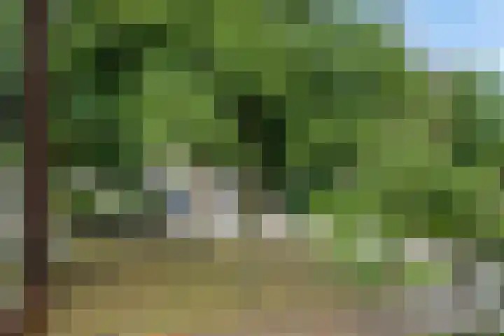 Brabanthoeven 173 Rosmalen thumbnail 32