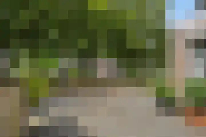 Brabanthoeven 173 Rosmalen thumbnail 41