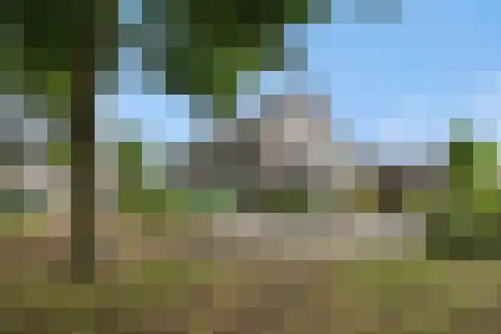 Brabanthoeven 173 Rosmalen thumbnail 42