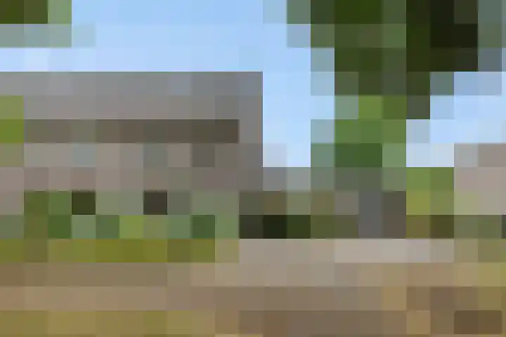 Brabanthoeven 173 Rosmalen thumbnail 6