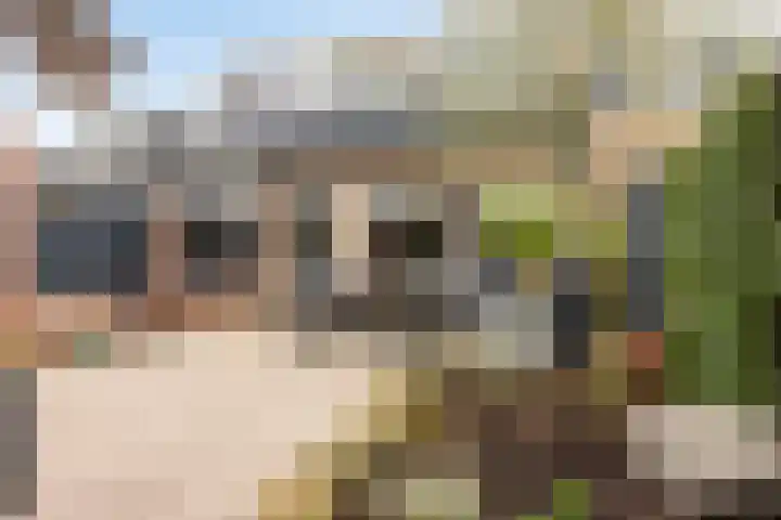 Brabanthoeven 177 Rosmalen thumbnail 30