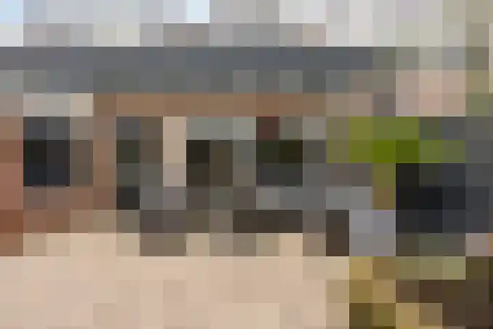 Brabanthoeven 177 Rosmalen thumbnail 31