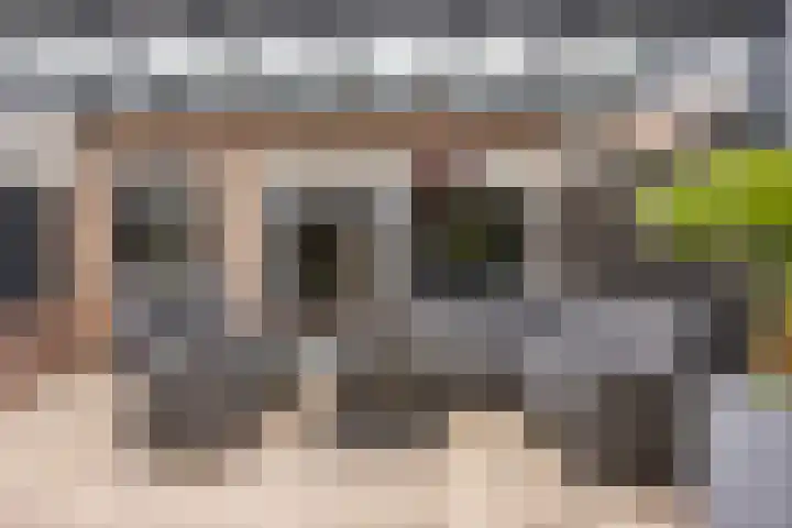 Brabanthoeven 177 Rosmalen thumbnail 32