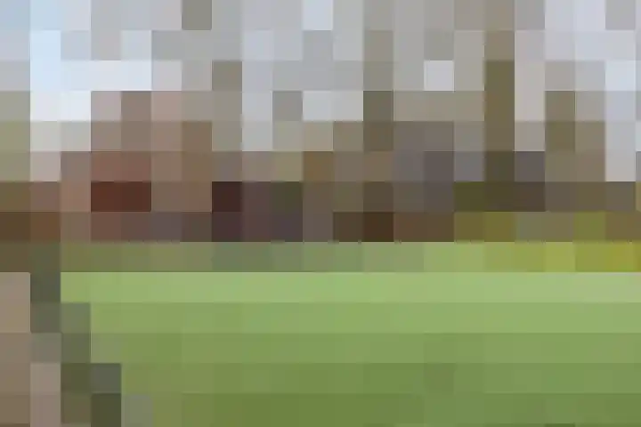 Brabanthoeven 177 Rosmalen thumbnail 36