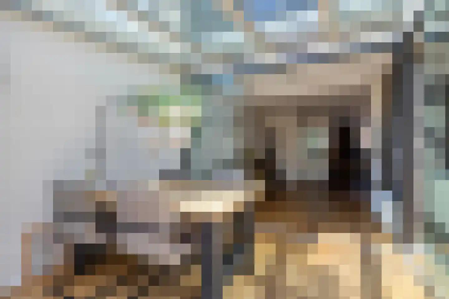 Brabanthoeven 22 Rosmalen thumbnail 15