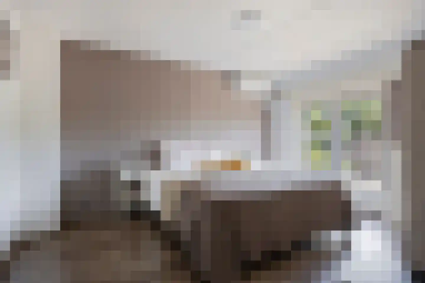 Brabanthoeven 22 Rosmalen thumbnail 17